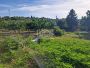 Grocka - Vrčin - 44ara ID#21022