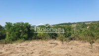 Nekretnina: Plac u Sopotu ID#4924