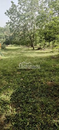 Nekretnina: Plac u Rogači, Kosmaj, Sopot ID#5124