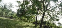 Nekretnina: Plac u Rogači, Kosmaj, Sopot ID#5124