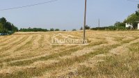 Nekretnina: Plac u Dučini, Sopot ID#5324