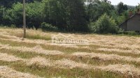 Nekretnina: Plac u Dučini, Sopot ID#5324