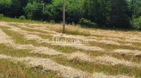 Nekretnina: Plac u Dučini, Sopot ID#5324