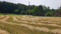 Nekretnina: Plac u Dučini, Sopot ID#5324