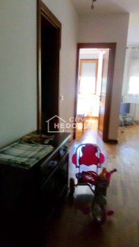 Nekretnina: Hram, Mutapova, izdavanje, 2.5, noviji, renoviran ID#9488