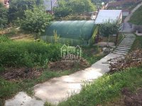 Nekretnina: Plac 5.5 ari sa kućom za rušenje- Suvi Do ID#2118