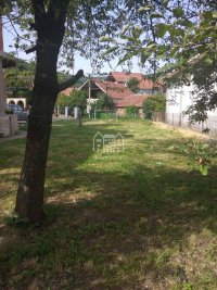 Nekretnina: Plac 5.5 ari sa kućom za rušenje- Suvi Do ID#2118