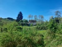 Nekretnina: Sremski Karlovci-Velika Parcela 14715 m2(3820 m2+10900 m2)iz dve susedne parcele-065/385 8880