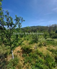 Nekretnina: Sremski Karlovci-Velika Parcela 14715 m2(3820 m2+10900 m2)iz dve susedne parcele-065/385 8880