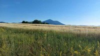 Nekretnina: Boljevac, Rtanj – Valakonje 1ha 3a 35kvm ID#25066