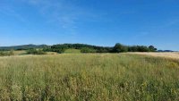 Nekretnina: Boljevac, Rtanj – Valakonje 1ha 3a 35kvm ID#25066