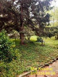 Nekretnina: Savski venac, Dedinje - Rajka Mitića, 100m2 (370m2)