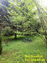 Nekretnina: Savski venac, Dedinje - Rajka Mitića, 100m2 (370m2)