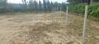 Nekretnina: Rakovac-Lep visinski Plac 560 m2 na Top Lokaciji-065/385 8880