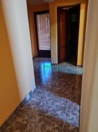 Nekretnina: Zasebna kuća, 250m2,  Sremska Kamenica, blizina Institutra ID#420