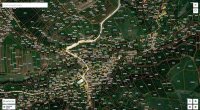 Nekretnina: Boljevac, Rtanj – Bačevica 9ha 65a 35kvm ID#25088
