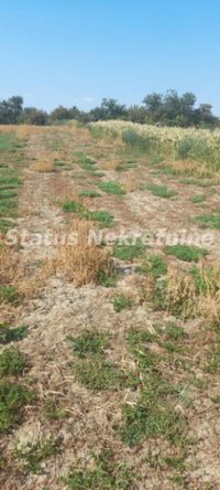 Nekretnina: Futog-Građevinski Plac 2244 m2 kod pruge-065/385 8880