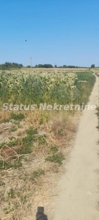 Nekretnina: Futog-Građevinski Plac 2244 m2 kod pruge-065/385 8880