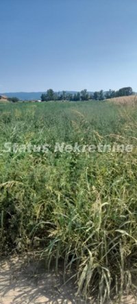 Nekretnina: Futog-Građevinski Plac 2876 m2 preko pruge-065/385 8880