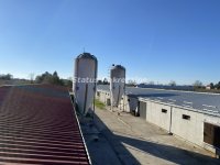 Nekretnina: Beograd-Okolina-Razrađena Farma Pilića sa kapacitetom od 40000 komada-065/385 8880