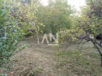 Nekretnina: Barajevo, Vranić, kuća, 60m2, 8.5ari ID#56424