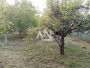 Barajevo, Vranić, kuća, 60m2, 8.5ari ID#56424