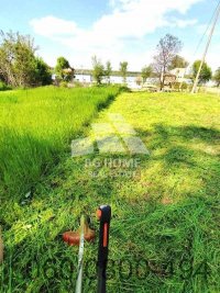 Nekretnina: Plac na Dunavu, Višnjica ID#2520