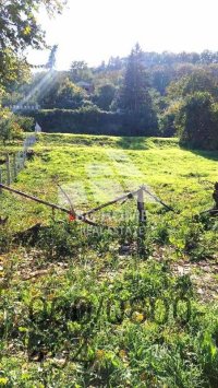 Nekretnina: Plac na Dunavu, Višnjica ID#2520