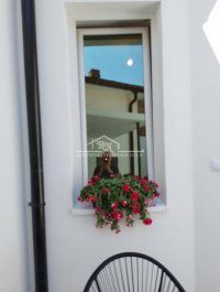 Nekretnina: Vračar, Sazonova, 104m2 ID#1379