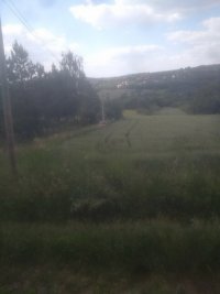 Nekretnina: Sopot – Babe 1ha 1ar 70kvm ID#25302
