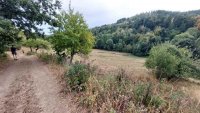 Nekretnina: Boljevac, Rtanj – Dobro polje 1ha 3a 21kvm ID#25353