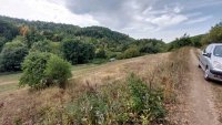 Nekretnina: Boljevac, Rtanj – Dobro polje 1ha 3a 21kvm ID#25353