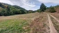 Nekretnina: Boljevac, Rtanj – Dobro polje 1ha 3a 21kvm ID#25353