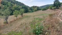 Nekretnina: Boljevac, Rtanj – Dobro polje 1ha 3a 21kvm ID#25353