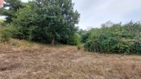 Nekretnina: Boljevac, Rtanj – Dobro polje 1ha 3a 21kvm ID#25353
