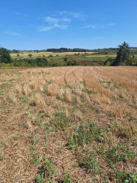 Nekretnina: Barajevo - Lisović, 10-30 ari, 1700e/ar