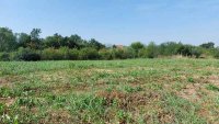 Nekretnina: Lazarevac – Šopić 66,24ari ID#25405