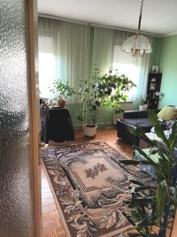 Nekretnina: ZVEZDARA Kisela voda ID: 32724