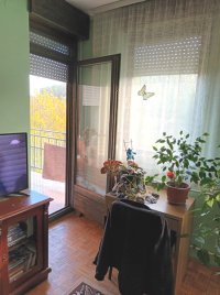 Nekretnina: ZVEZDARA Kisela voda ID: 32724