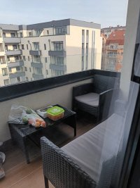 Nekretnina: PALILULA Mirka Milojkovica - Sunnyville ID: 33148