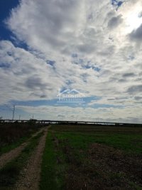 Nekretnina: Zemun - Batajnica - 46a ID#23138