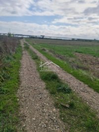 Nekretnina: Zemun - Batajnica - 46a ID#23138