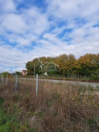 Nekretnina: Zemun - Batajnica - 46a ID#23138