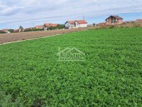 Nekretnina: Zemun - Batajnica - 61.56a ID#23133