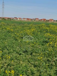 Nekretnina: Zemun - Batajnica - 61.56a ID#23133