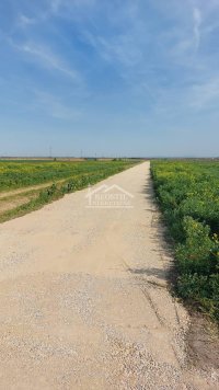 Nekretnina: Zemun - Batajnica - 61.56a ID#23133