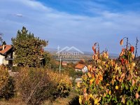 Nekretnina: Grocka - Zaklopača - 67a ID#23120