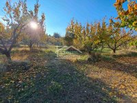 Nekretnina: Grocka - Zaklopača - 67a ID#23120