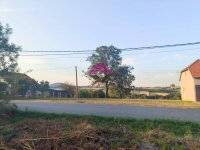 Nekretnina: Velika Ivanča, dve parcele površine 62 ara, deljivo, građevinsko zemljište ID#1434