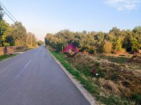 Nekretnina: Velika Ivanča, dve parcele površine 62 ara, deljivo, građevinsko zemljište ID#1434